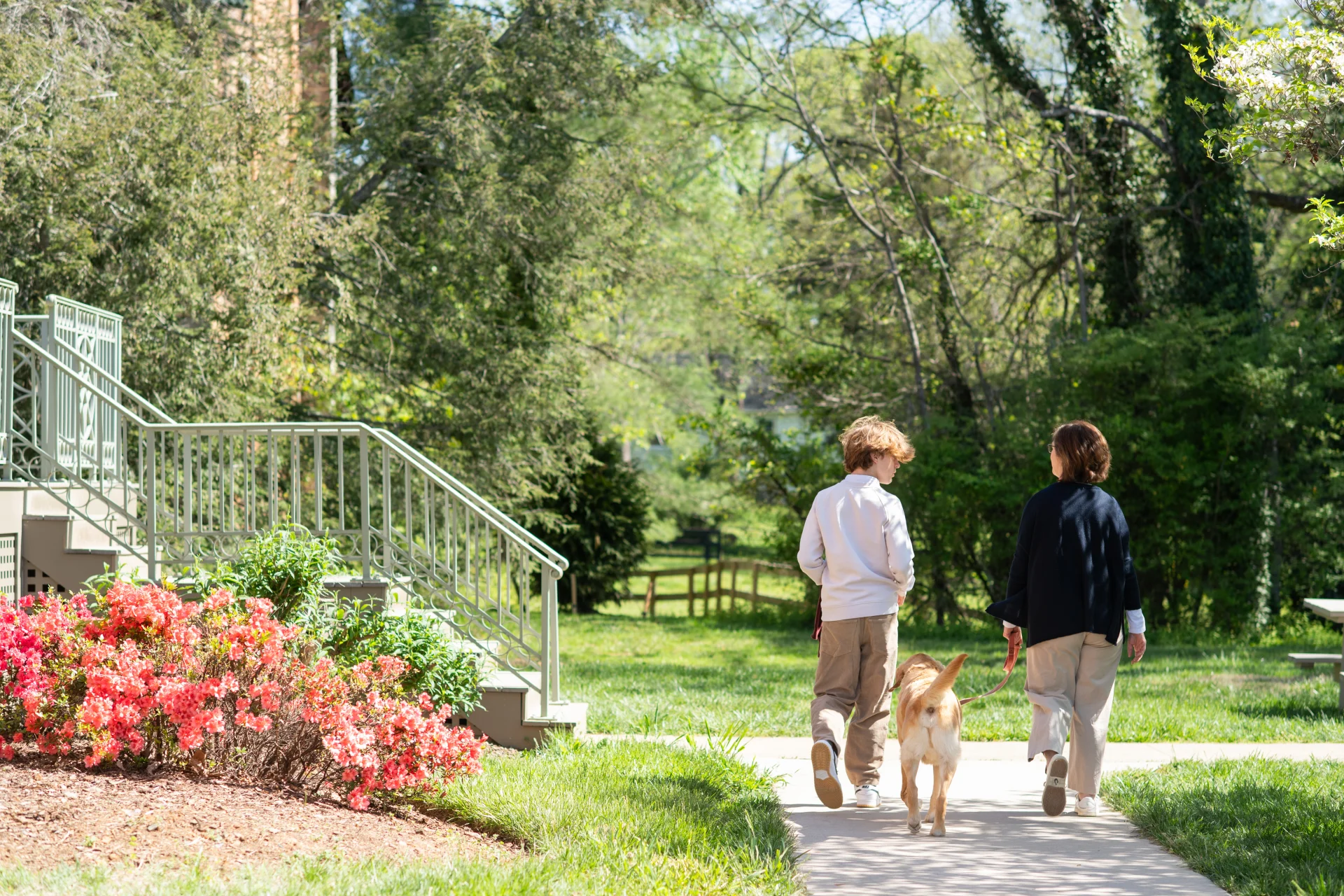 students walking a dog on campus